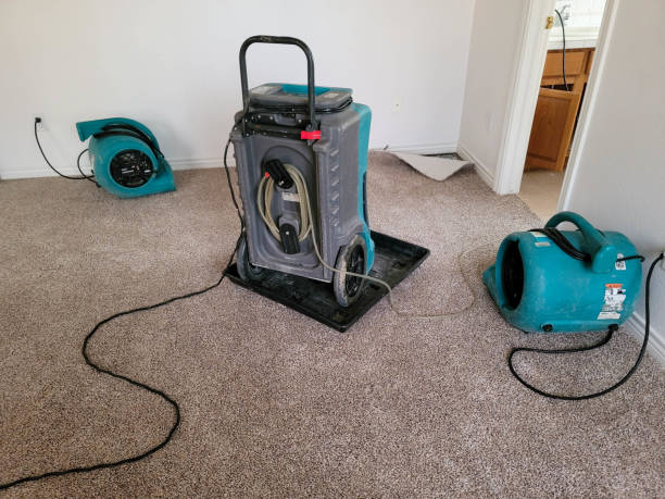 Best 24/7 water damage repair  in Brent, AL