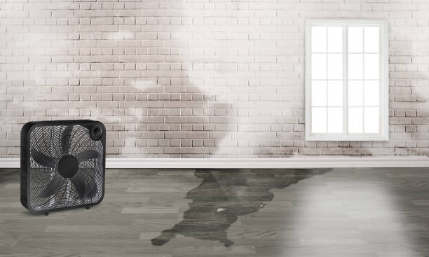 Brent, AL Water damage restoration Company