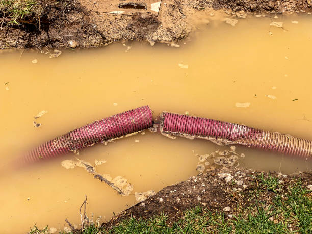 Reliable Brent, AL Water damage restoration Solutions